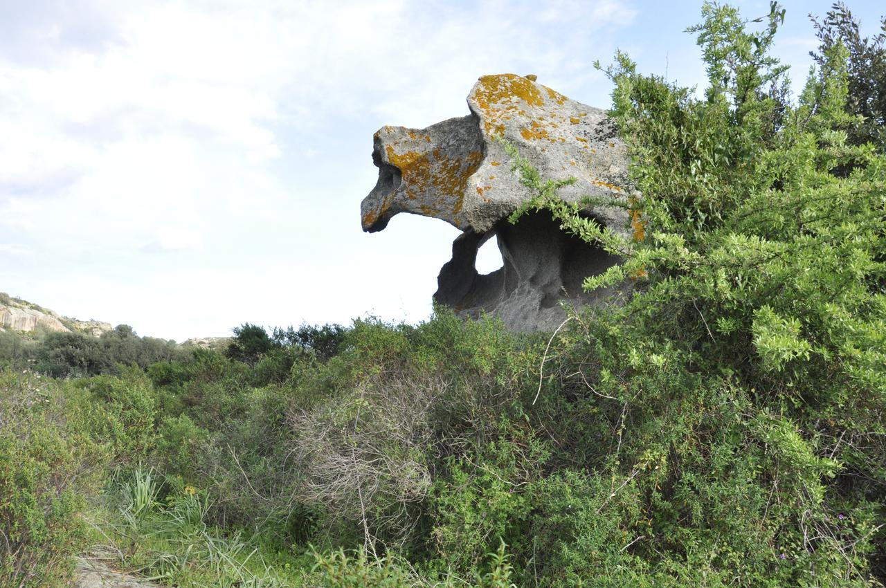 Hotel Dori D'Oro Orosei Luaran gambar